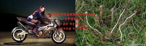 марки nbome Армянск